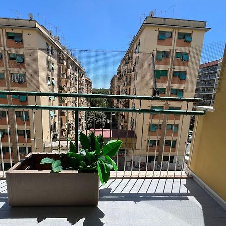 Luciano Queen'S Guest House روما المظهر الخارجي الصورة